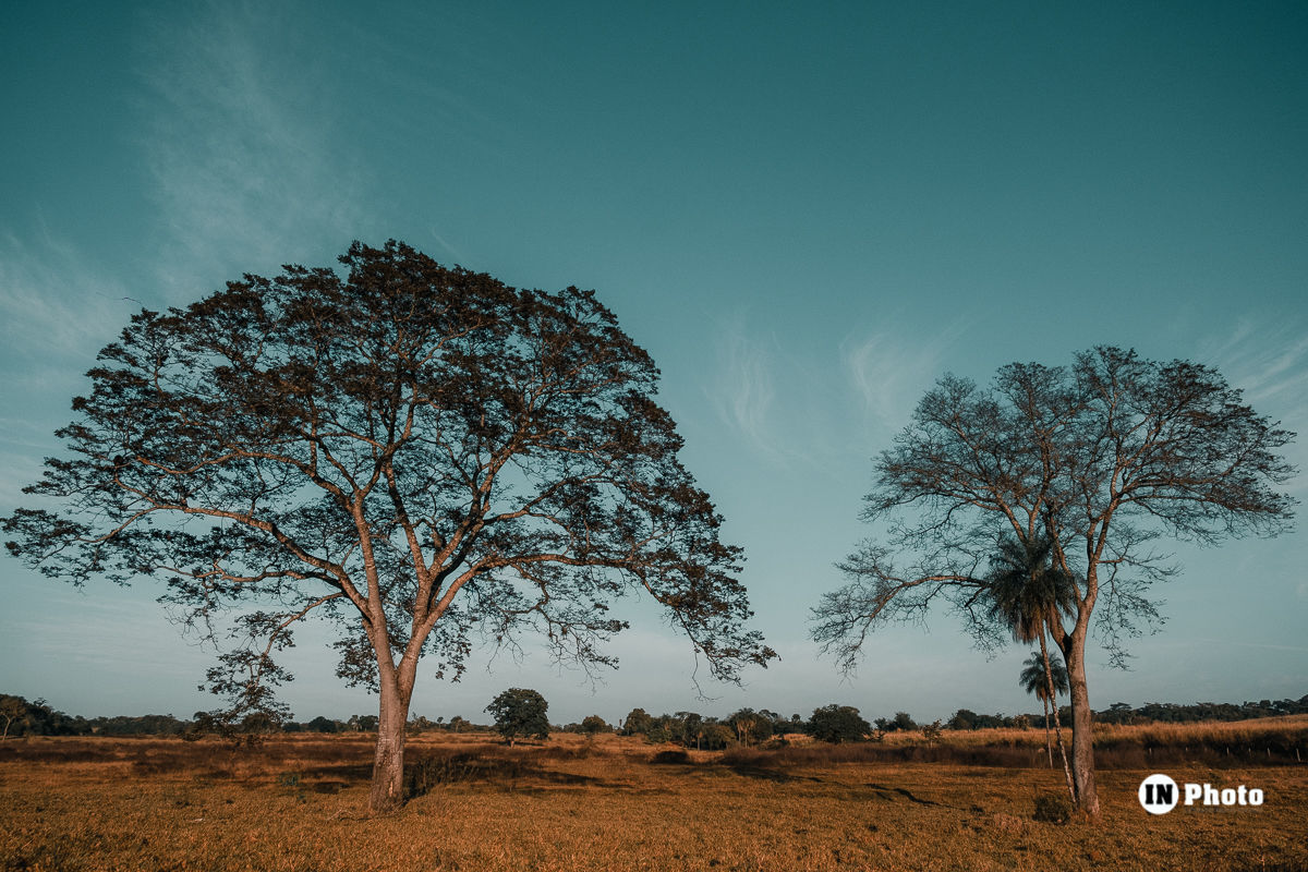 Foto Ensaio Fotográfico de Casal Inspiração com Balão de Ar Quente Rafaela e Frank - Imagem 5