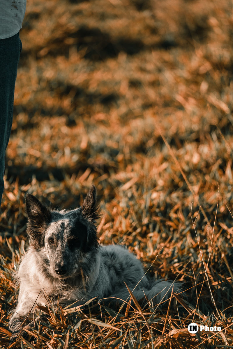 Foto Ensaio Fotográfico de Casal Inspiração com Balão de Ar Quente Rafaela e Frank - Imagem 22