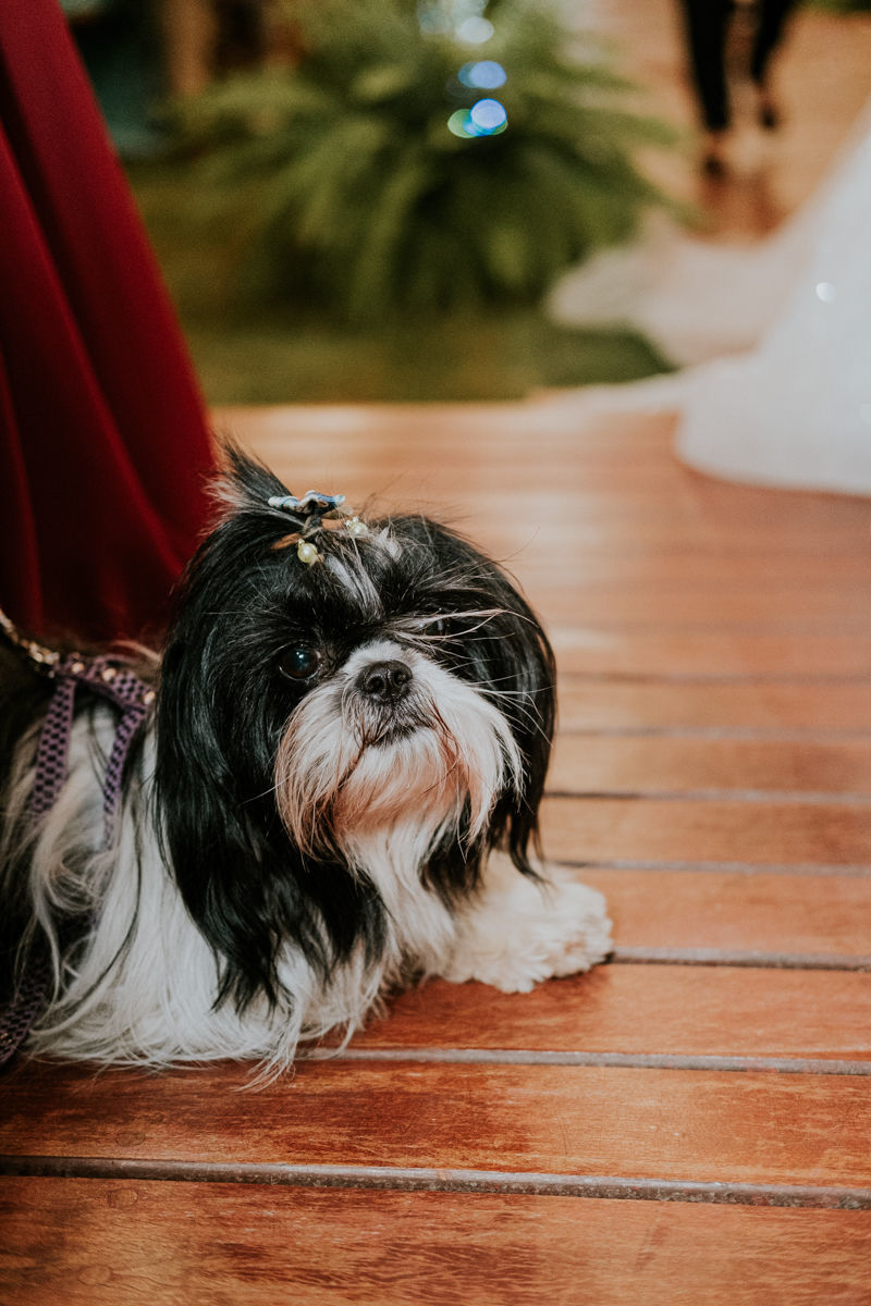 Foto Casamento Inspiração No Espaço de Eventos Alegranza Samara e Iury - Imagem 57