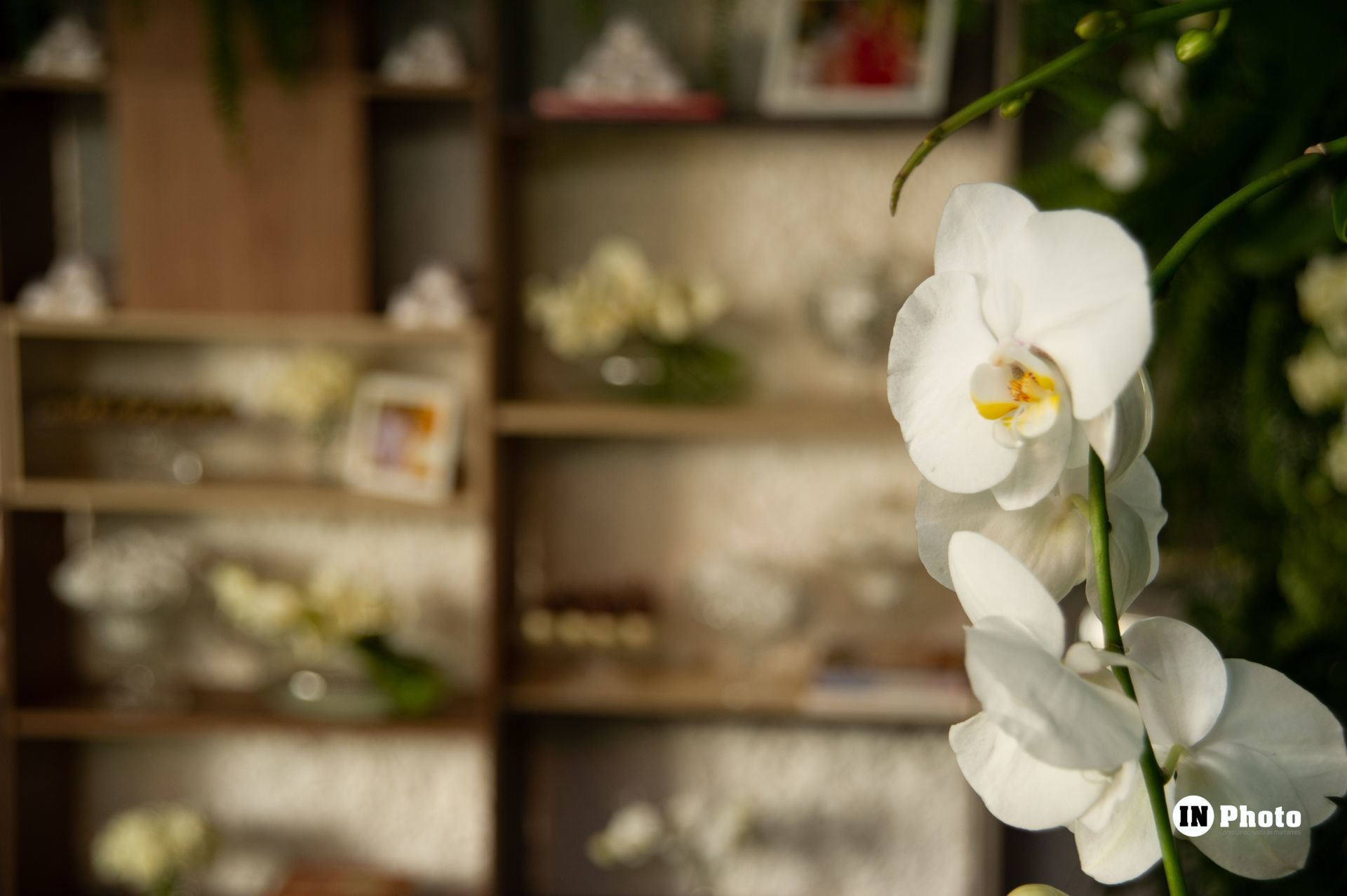 Foto LinCasamento Inspiração no Espaço de Eventos Viela Gastronômica Carla e Alexandre - Imagem 45