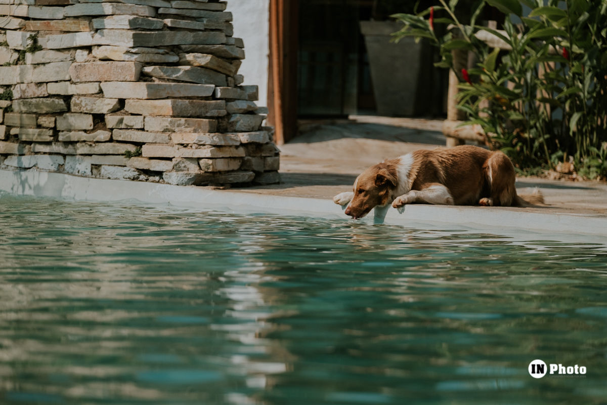 Foto Noivos Fazem Ensaio de Casal em Pirenópolis Isabela e Matheus - Imagem 17