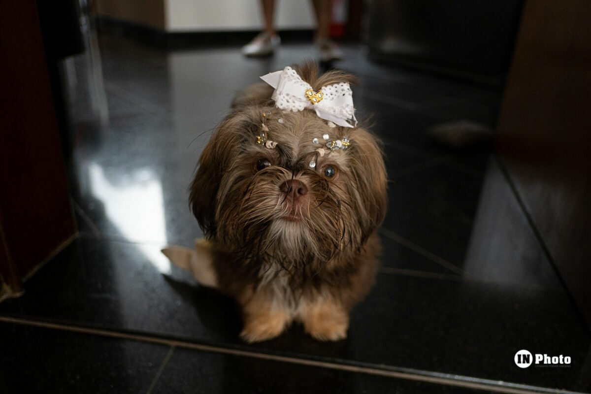 Foto Casamento Boho Chic Inspiração Lorrainy e Eduardo - Imagem 0