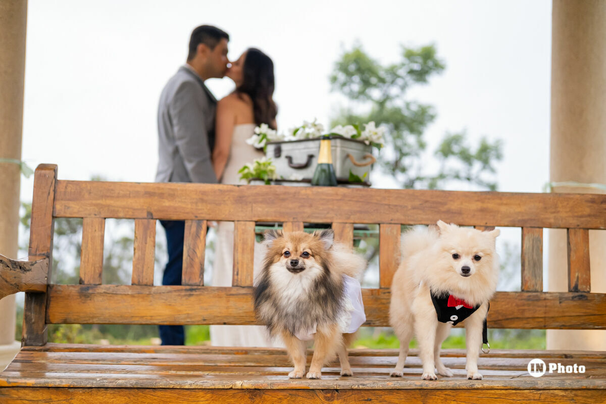 Foto Ensaio Fotográfico Pré Wedding Romântico Inspiração Villa Giardini Júlia e Bruno - Imagem 16