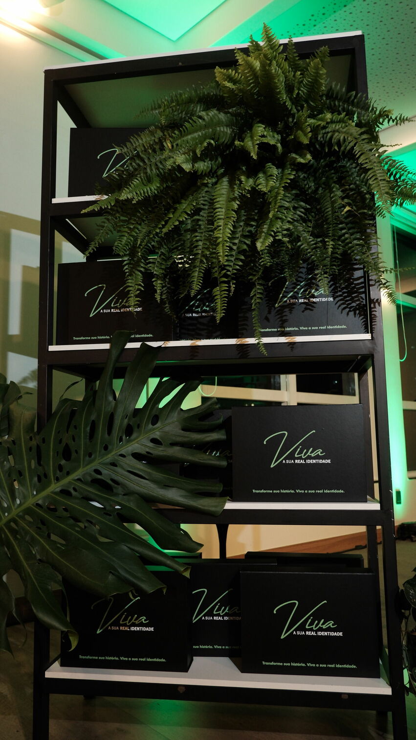 Foto Um Encontro de Propósito: cobertura fotográfica do jantar com Camila Vieira por Natálya Cardoso - Imagem 2