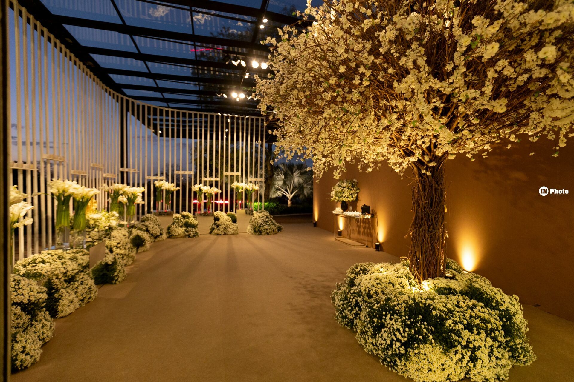 Foto Andressa e José Vitti - Imagem 68