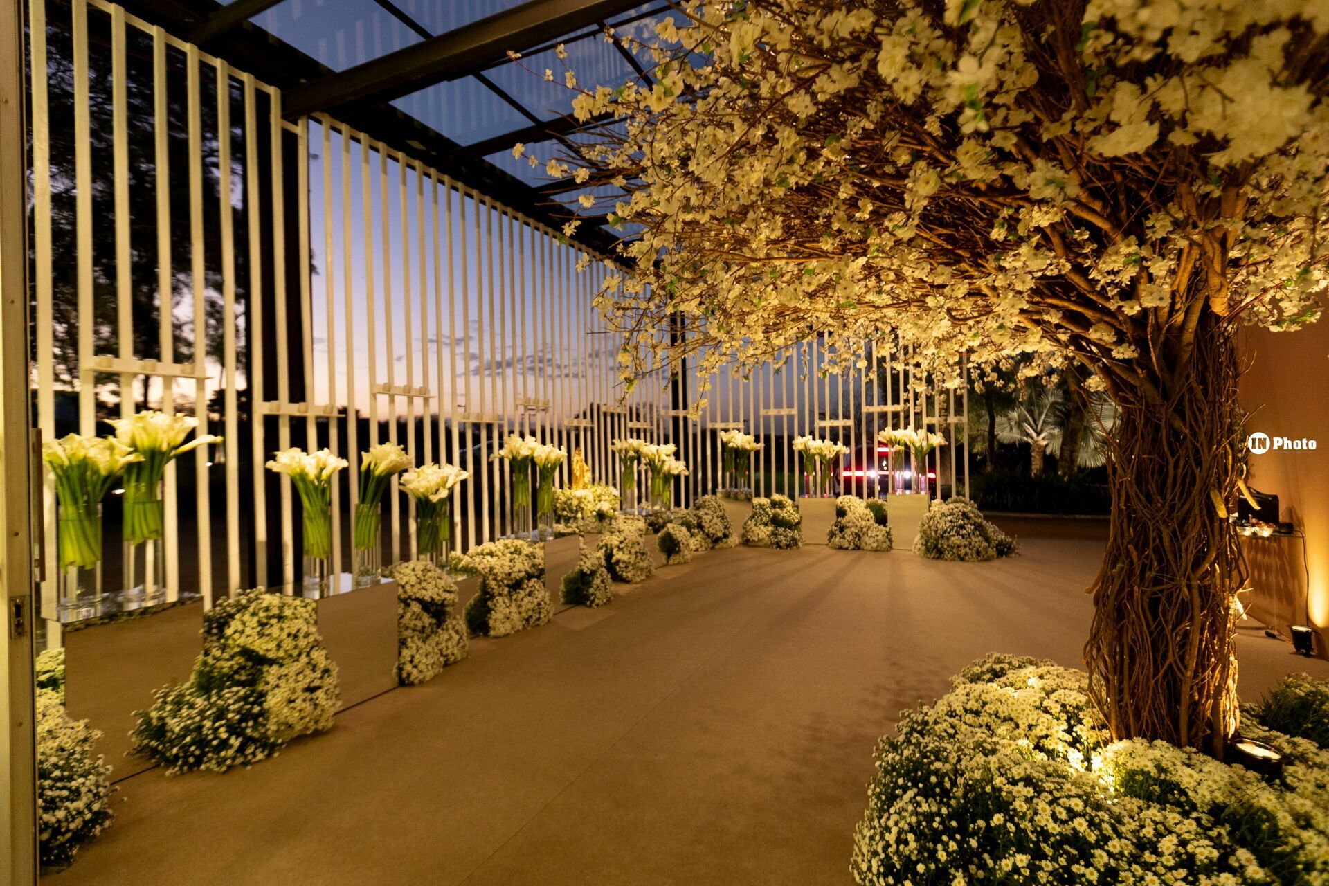 Foto Andressa e José Vitti - Imagem 69