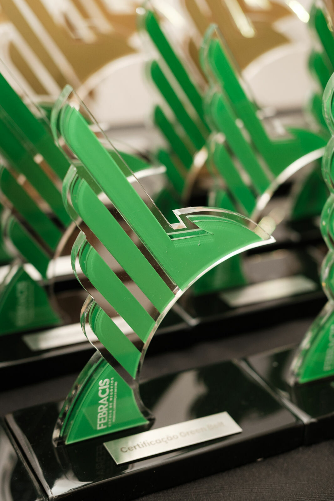 Foto Cobertura Fotográfica da Formatura Golden Belt e Green Belt Febracis 2025 – Um Registro Marcante Assinado por Natálya Cardoso Foto Cobertura Fotográfica da Formatura Golden Belt e Green Belt Febracis 2025 – Um Registro Marcante Assinado por Natálya Cardoso - Imagem 449