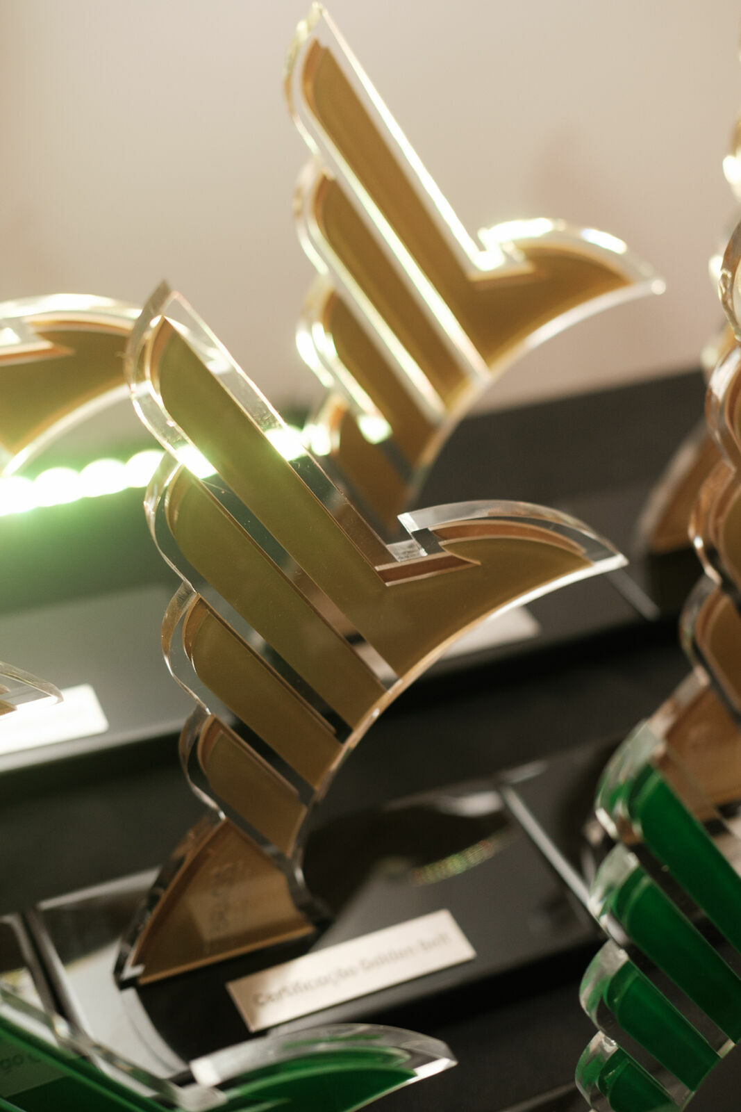 Foto Cobertura Fotográfica da Formatura Golden Belt e Green Belt Febracis 2025 – Um Registro Marcante Assinado por Natálya Cardoso Foto Cobertura Fotográfica da Formatura Golden Belt e Green Belt Febracis 2025 – Um Registro Marcante Assinado por Natálya Cardoso - Imagem 450